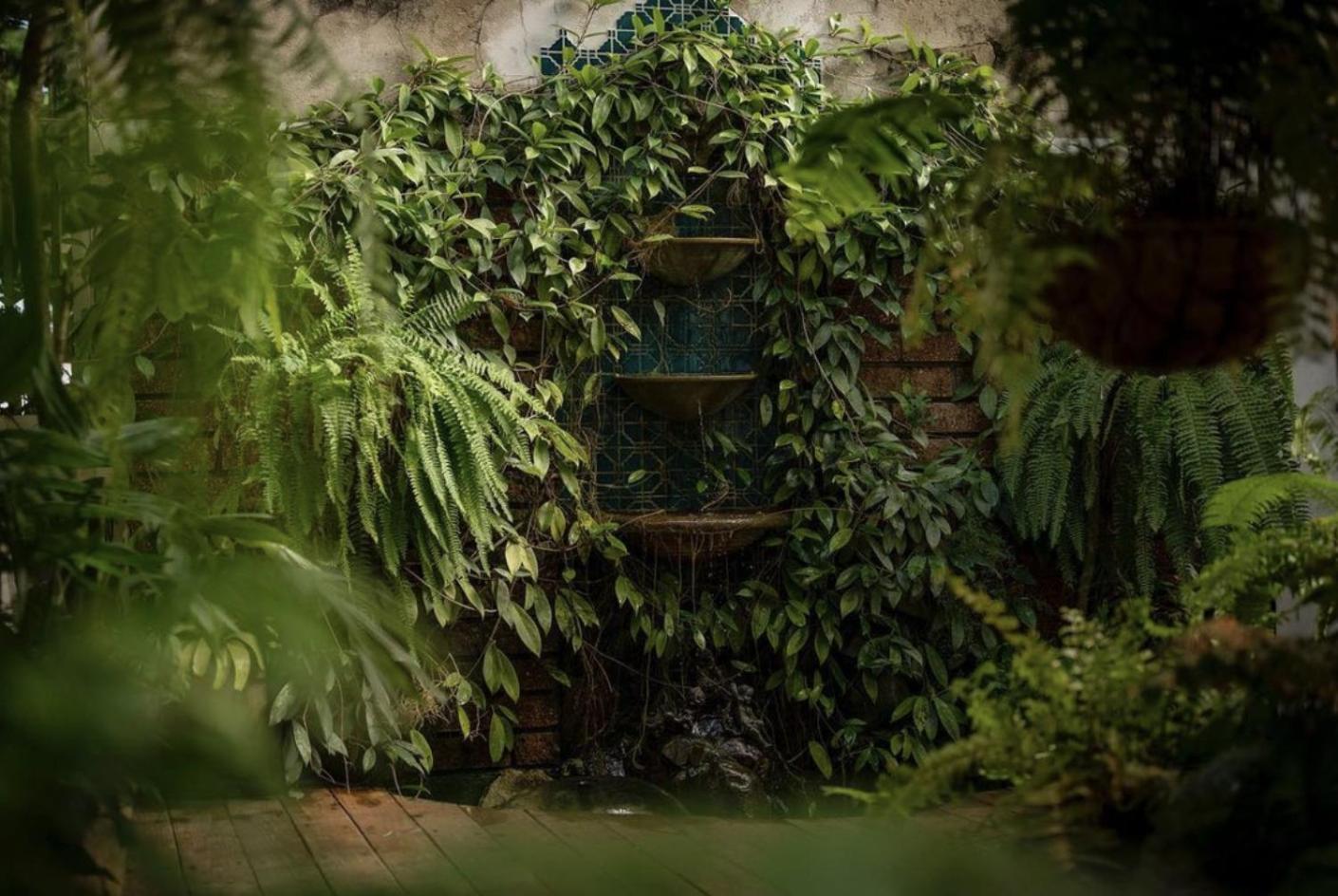 La Botanica Hotel San Juan Kültér fotó