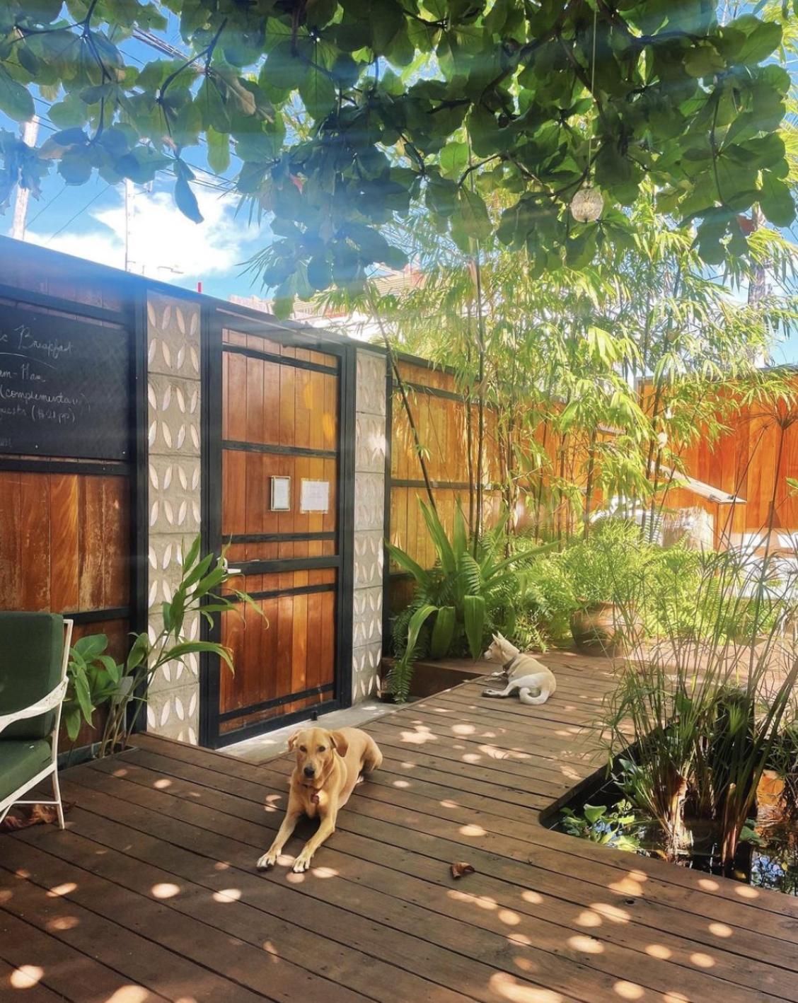 La Botanica Hotel San Juan Kültér fotó